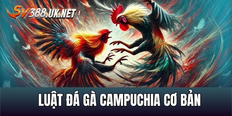 Đá Gà Cựa Sắt Campuchia - Các Trận Đấu Siêu Đẳng Cấp Cách chơi đá gà cựa sắt