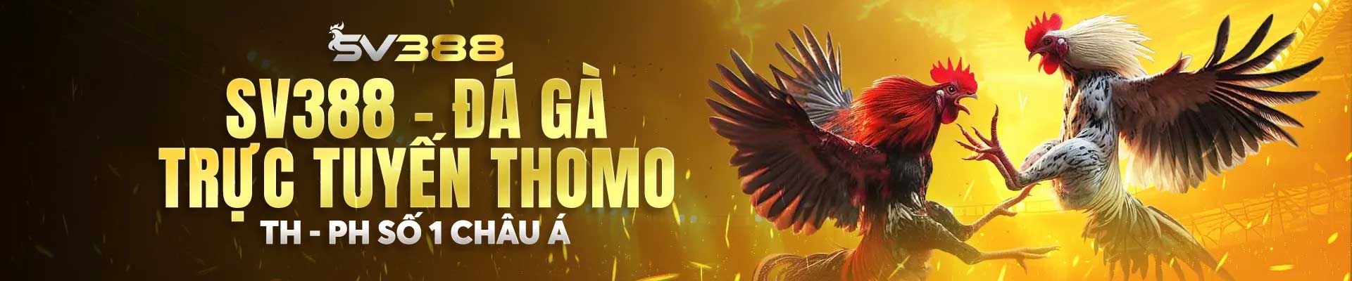 banner sv388