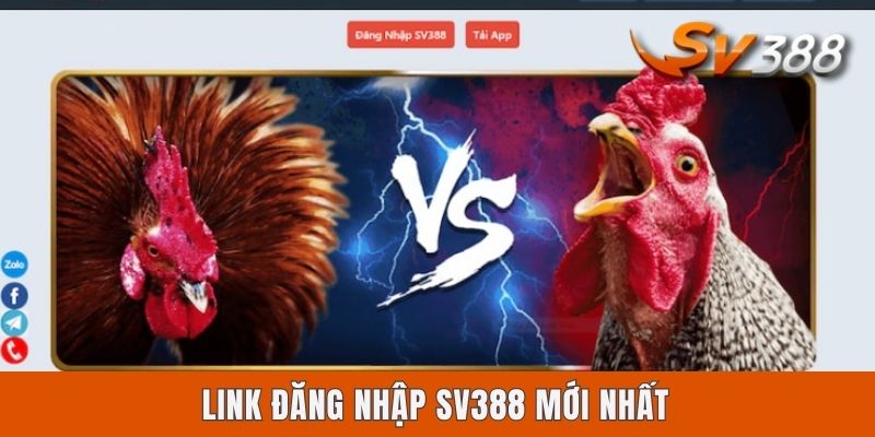 Link Đăng Nhập SV388 Mới Nhất - Cập Nhật Đầy Đủ Cho Newbie