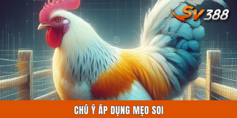 Chú ý áp dụng mẹo soi